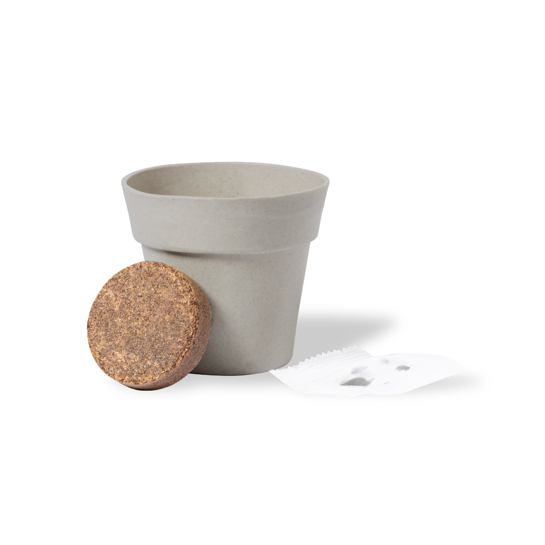 Maceta con semillas de girasol - Imagen 4