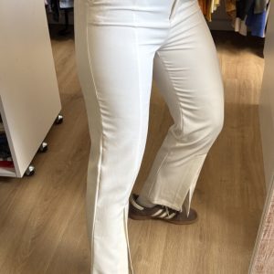 Pantalón sastrero Daniel Cassin