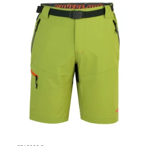 Pantalón corto Evergreen SPHERE PRO