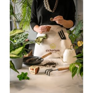 Tiestos de barro con semillas para plantar