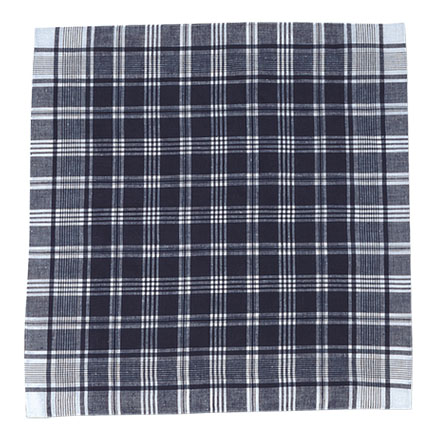 Pañuelos de cuadros blancos y azules - Imagen 2